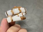 BV Factory Bvlgari Quartz Serpenti 102886 35mm Rose Gold Ceramic Roman Numerals White Dial - Image 8