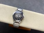 TW Factory Patek Philippe Twenty~4 7300/1200A-010 Grey Dial - Image 5