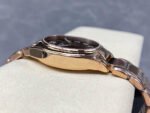 TW Factory Patek Philippe Twenty~4 7300/1200R-001 Rose Gold Brown Dial - Image 6